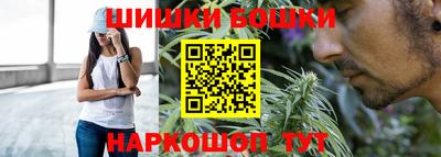 бошки Сланцы