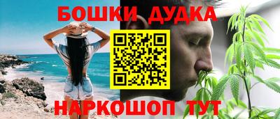 бошки Сланцы
