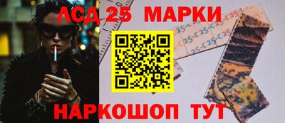 бошки Сланцы