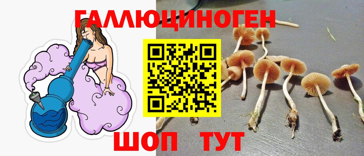 Псилоцибиновые грибы мухоморы Нижнеудинск