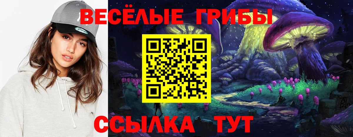 Псилоцибиновые грибы Magic Shrooms  Вход с VPN  Нижнеудинск 